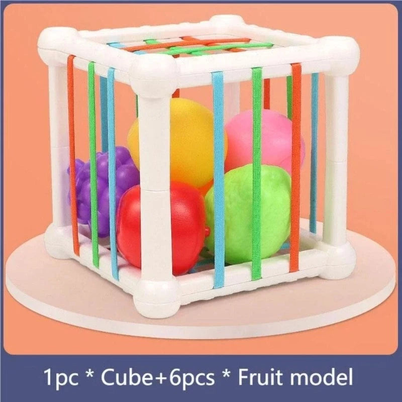 Brinquedos Montessori Sensoriais para Bebês 6-9 Meses - Frutas Coloridas e Habilidade Motoras