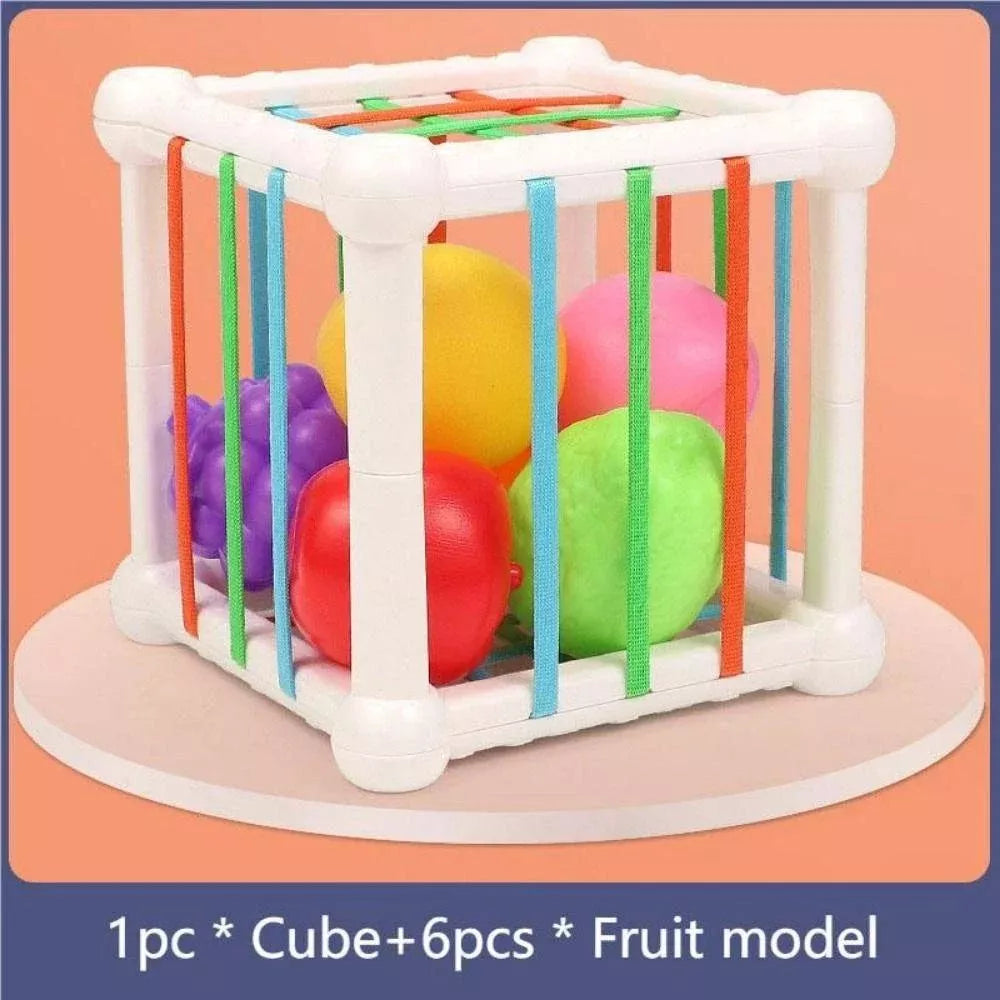 Brinquedos Montessori Sensoriais para Bebês 6-9 Meses - Frutas Coloridas e Habilidade Motoras